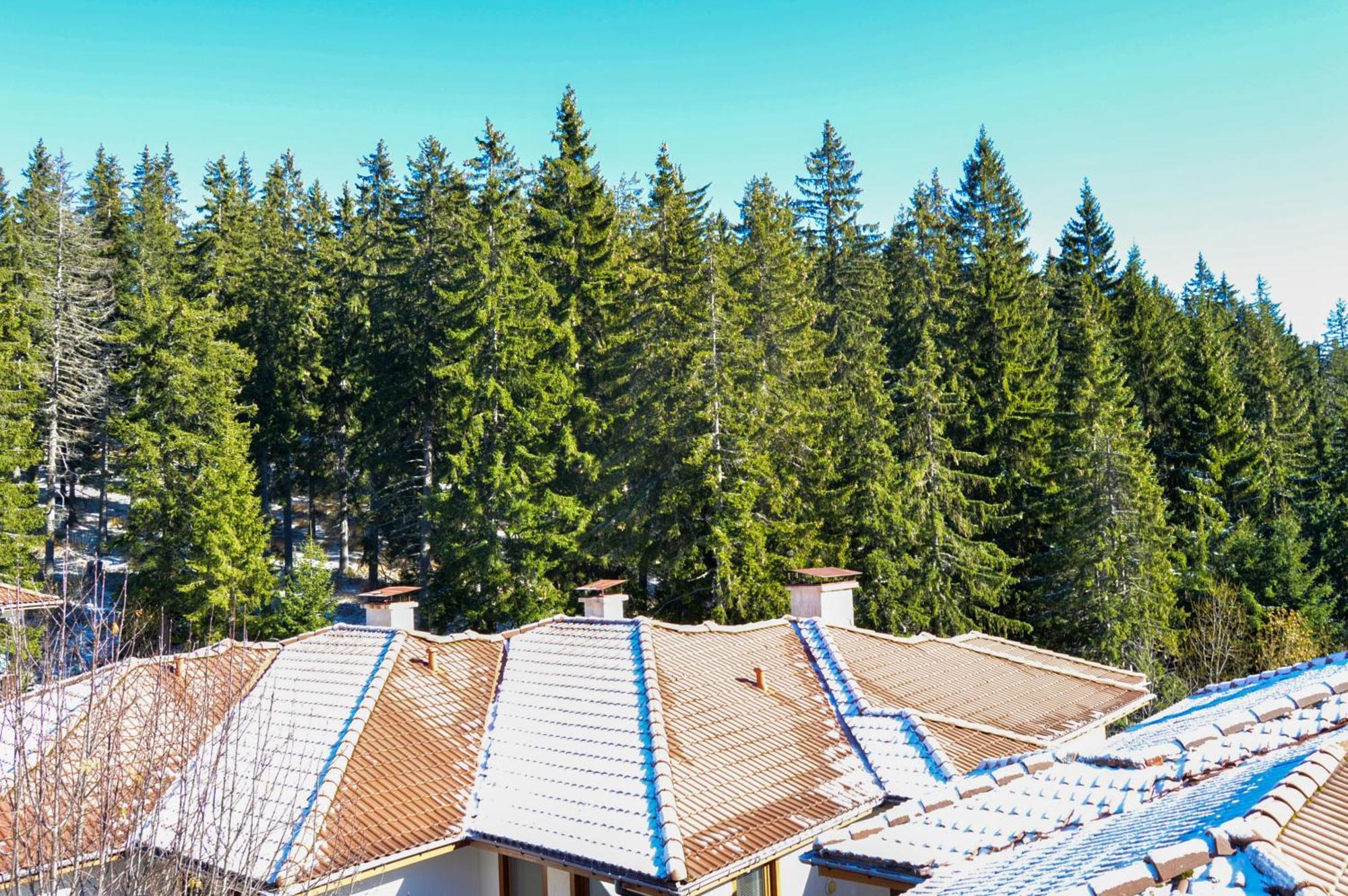 Myplace Pamporovo Апартаменти За Отдих Exterior photo